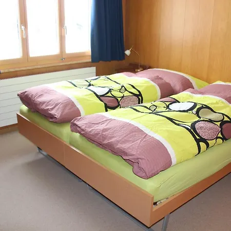 Mittaghorn Apartment Adelboden