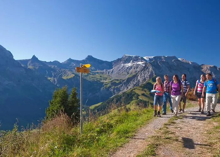 Mittaghorn Lejlighed Adelboden